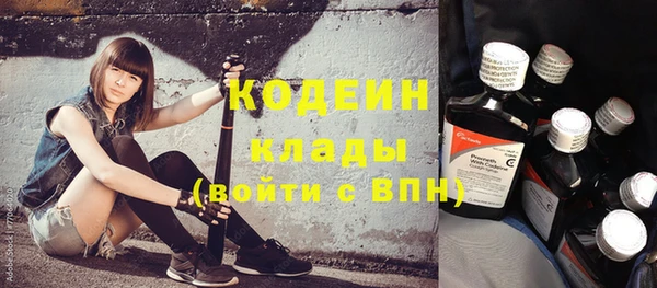 сатива Краснослободск