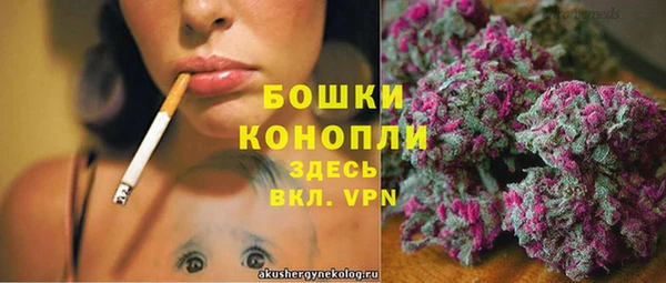 сатива Краснослободск