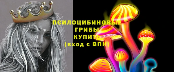 сатива Краснослободск