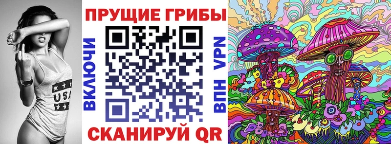 Купить где  Белорецк  Галлюциногенные грибы Psilocybe 